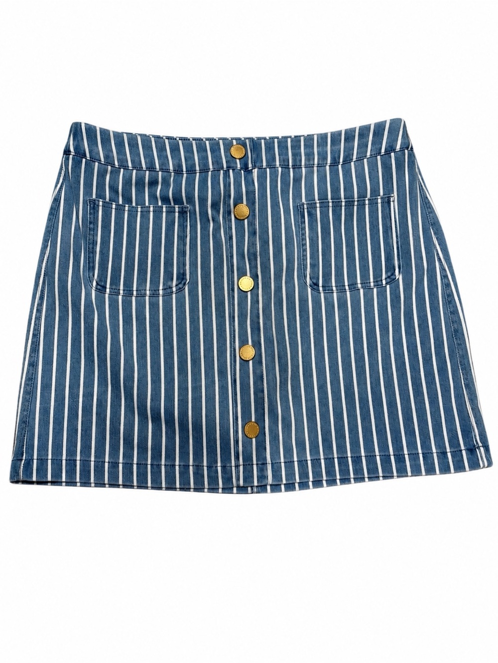 DG2 by Diane Gilman Chambry Striped Blue Button-Front A-Line Skort